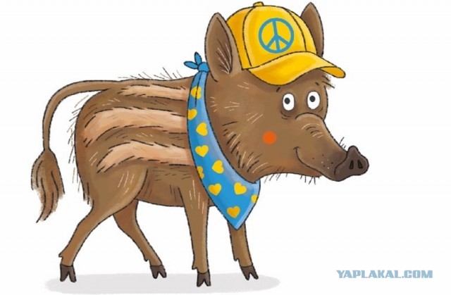 Украинка докопалась до Баскова