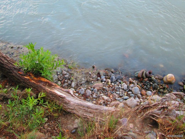 Горный Алтай в первый раз