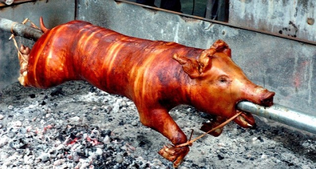 Дуська-агрегат: мощная, уверенная, здоровая