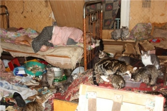 Она спасает котят
