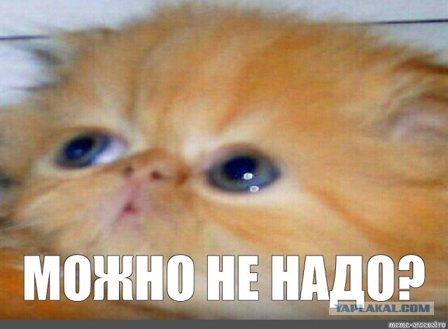 Конфликт военкора с чеченцами