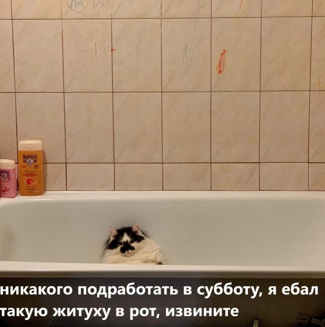 Всего понемногу. Часть 12.