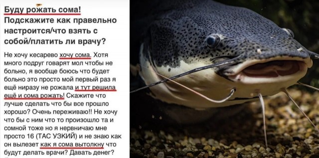 Друзья, чем заняться на селе? Не навеселе...
