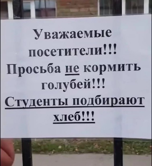 Картинки и мемы, это май-чародей всяко разно - 177