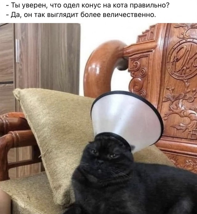 Картинки и мемы, всяко разно - 183