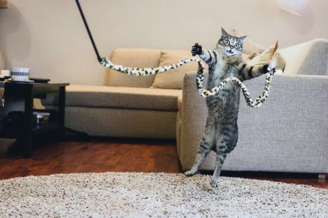 Подборка интересных и веселых картинок