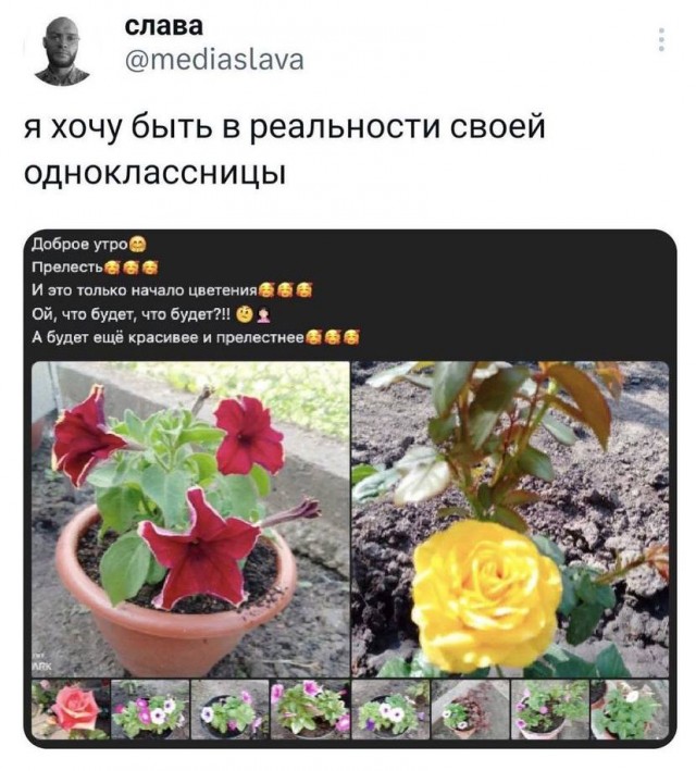Красивое Вам
