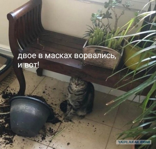 Откуда берутся женоненавистники