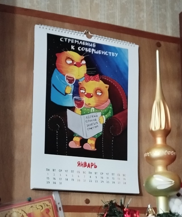 Магазин петербургских Котов
