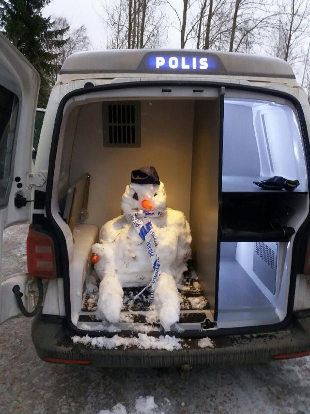 Подборка интересных и веселых картинок 13.02.24