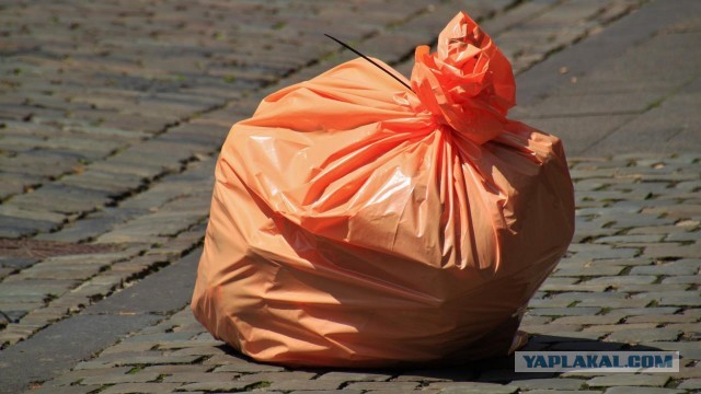Туловище и голову человека нашли в двух пакетах в поле в Шушарах