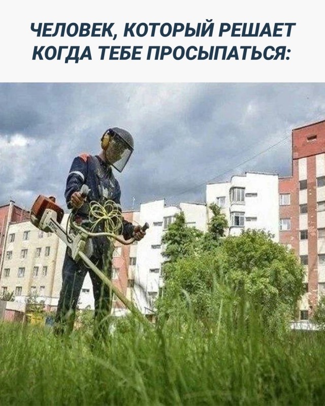 19143692.jpg