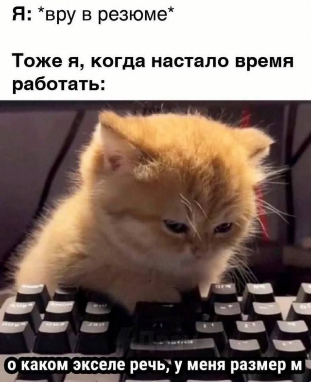 Никакие картинки