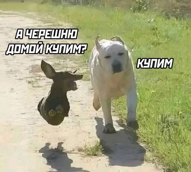 Картинки разные с надписями и без