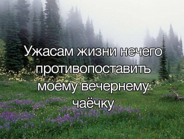 Всего понемногу. От 22.07.24