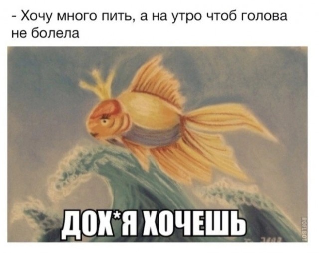 Весёлый полтишок 27.09.24