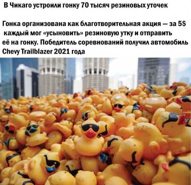 Так себе картинки 21.10.24