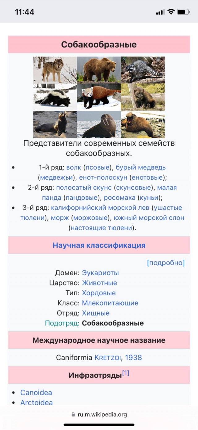 Подозрительно добрый грушеед