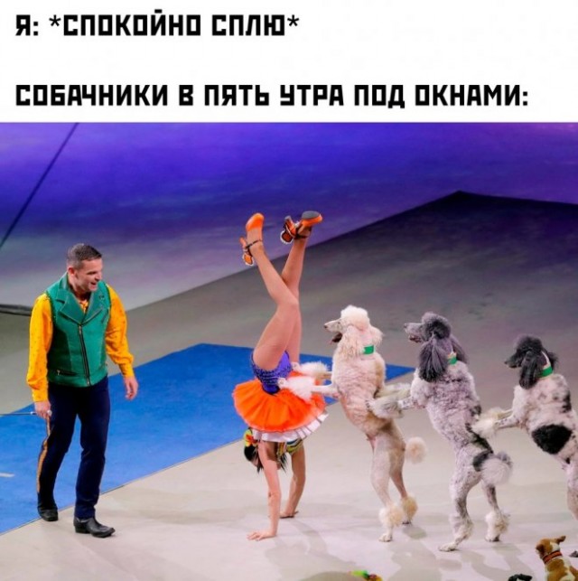 Веселые картинки в маленькую пятницу (02.04)