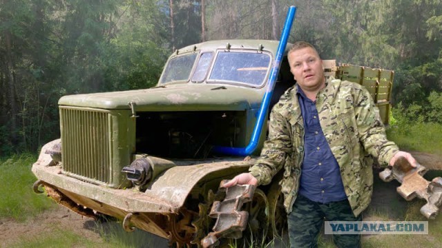 Чего только не встретишь на Неве