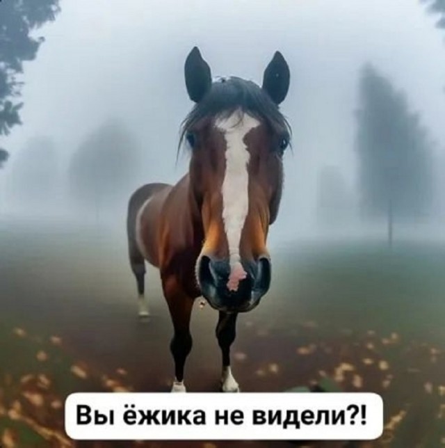 Так себе картинки 15.05.25