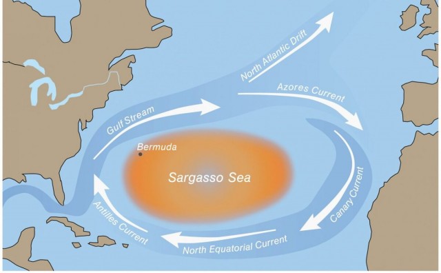 Загадочное Саргассово море: единственное море без берегов и его тайны