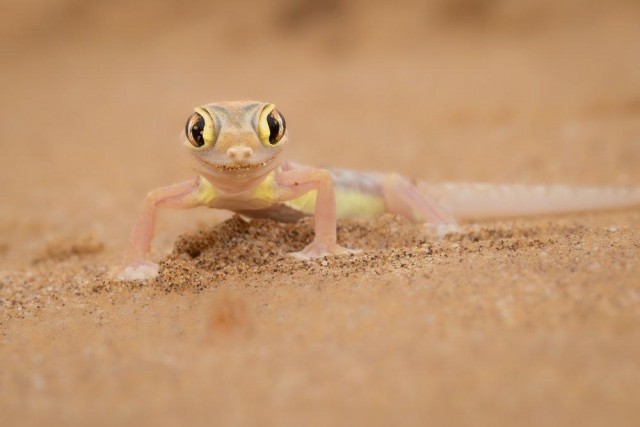 Заряд позитива: взгляните на 25 самых забавных снимков