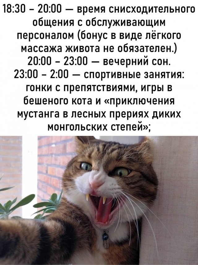 Так себе картинки 11.08.25
