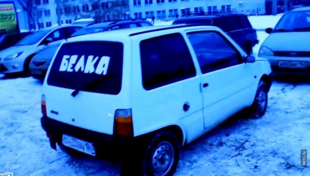 «Лучшая закладка – это орех»