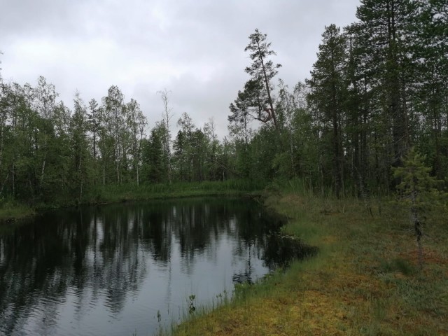 Литболталка