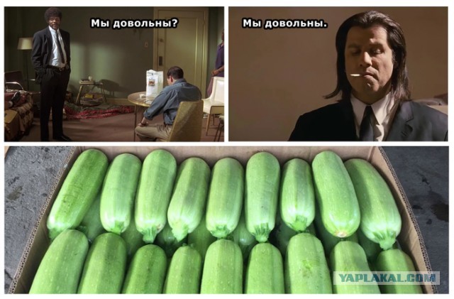 Про кабачки