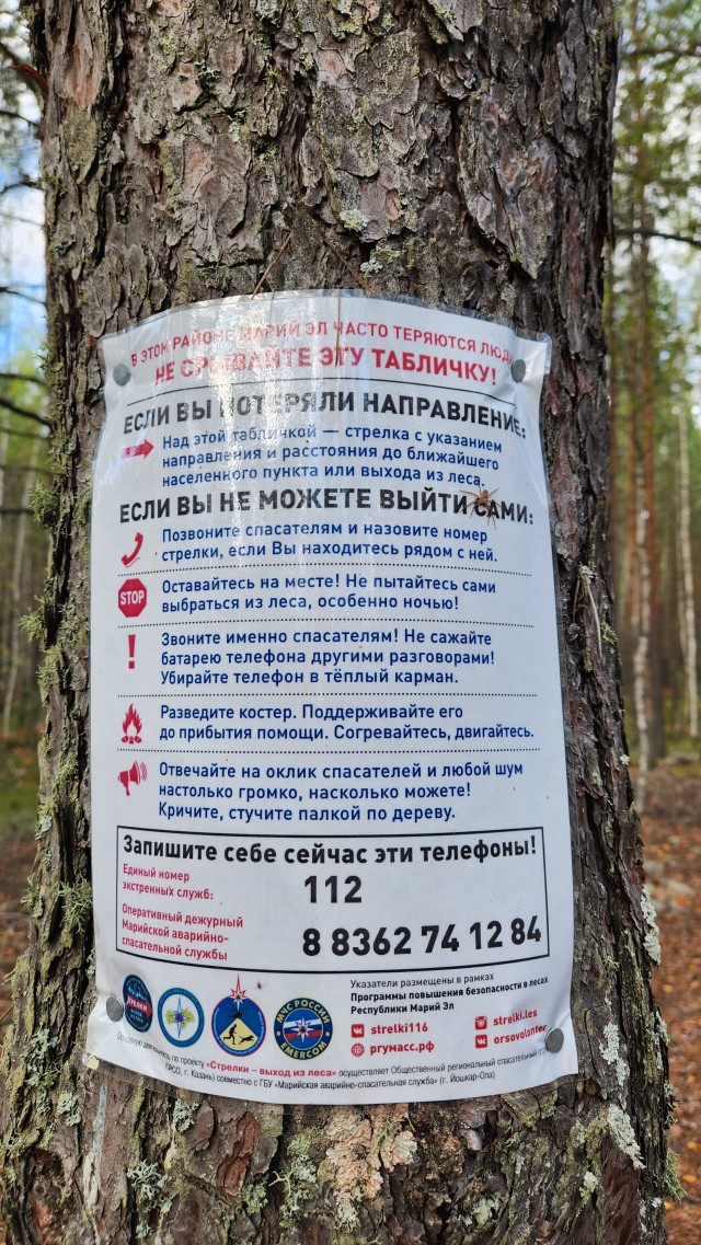 Озеро Лисичкино и другие