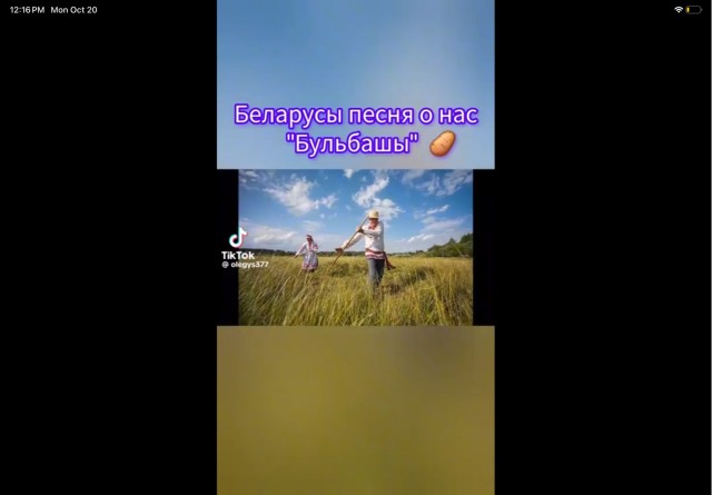 Мы бульбаши