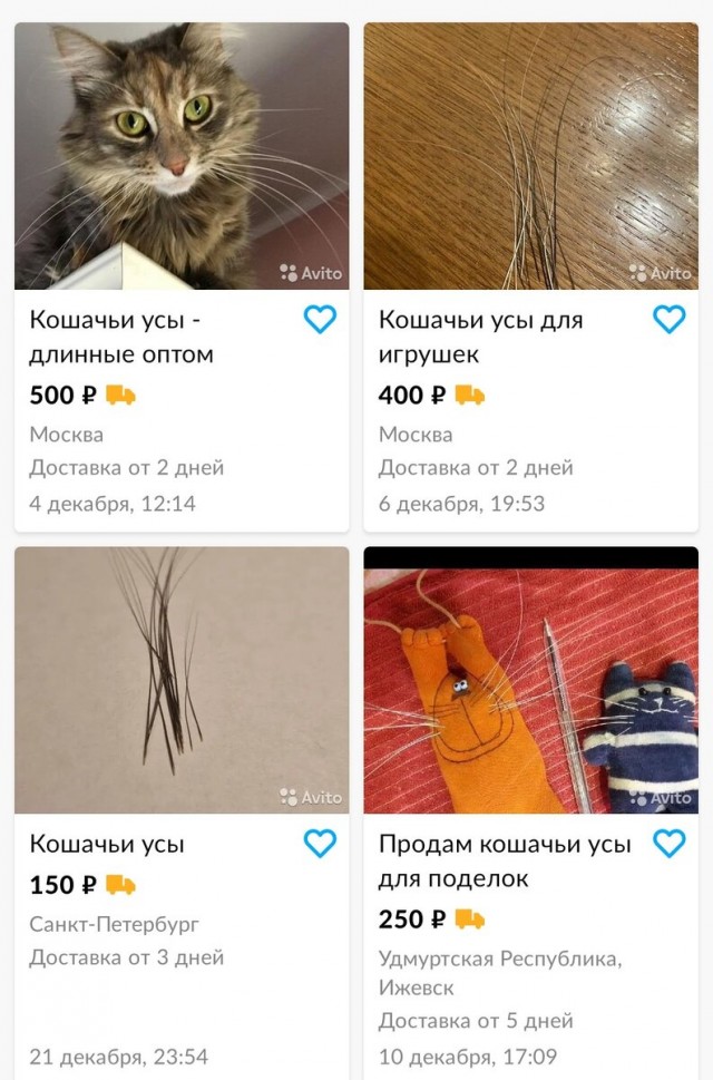 Усы , в кото