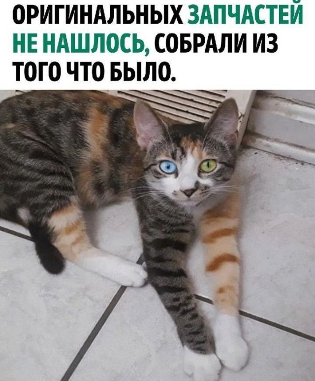 Так себе картинки 02.11.25