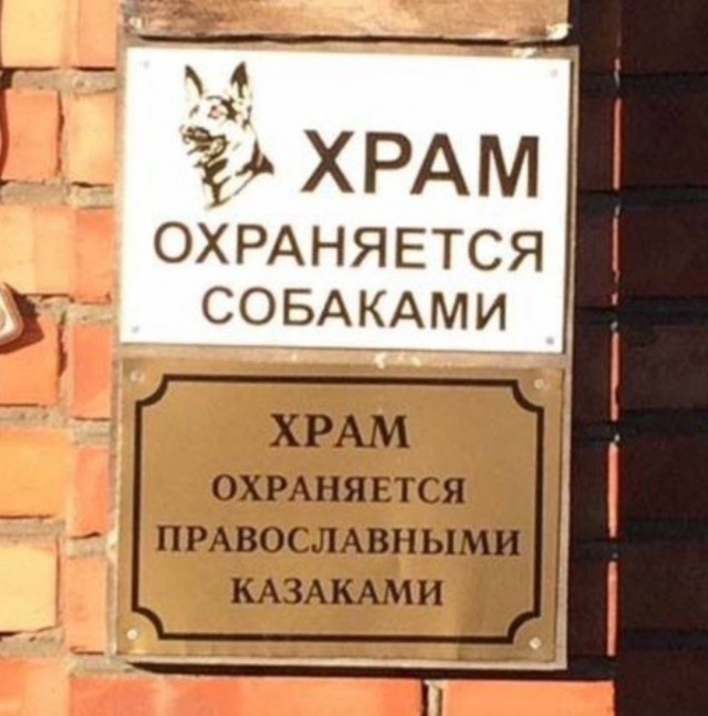 Картинки для деградации 81 (разной степени свежести)