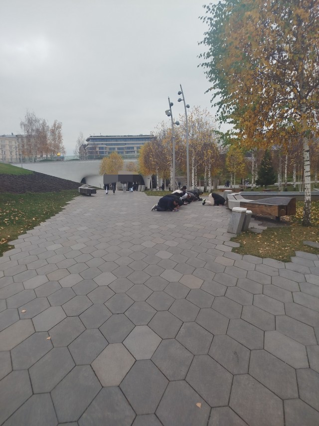 Территорию помечают, себя показывают