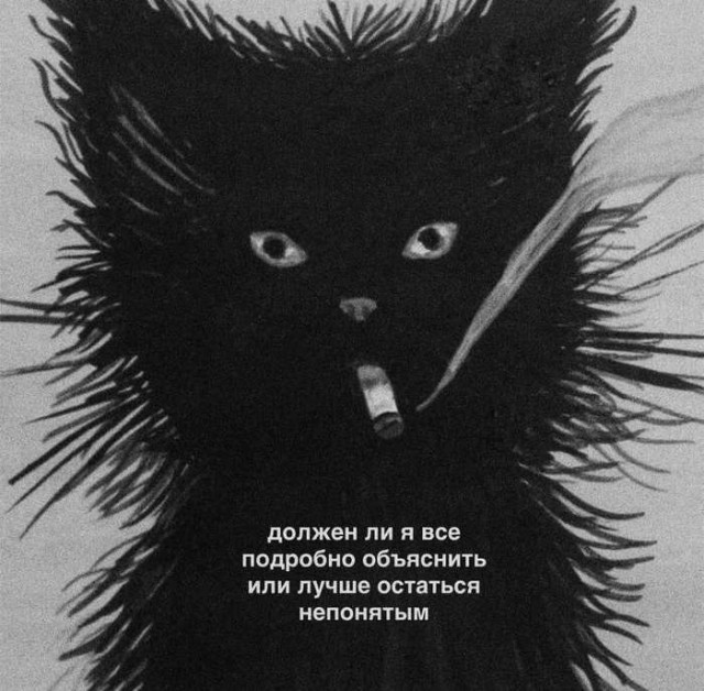 Картинки для деградации 84 (разной степени свежести)