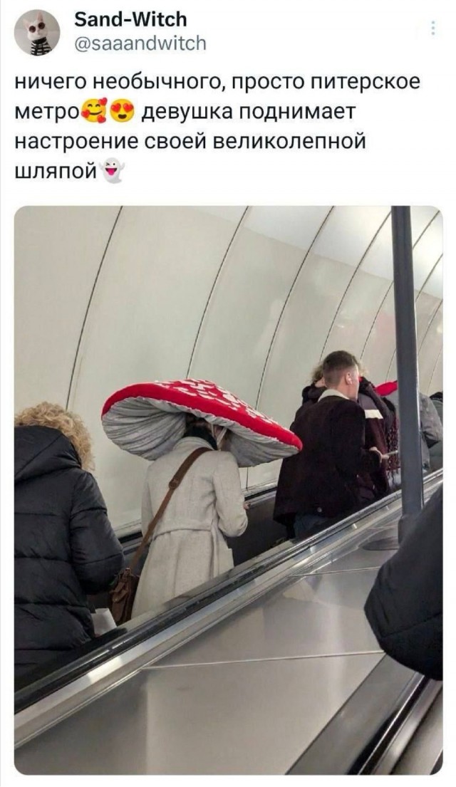 Субботние картинки