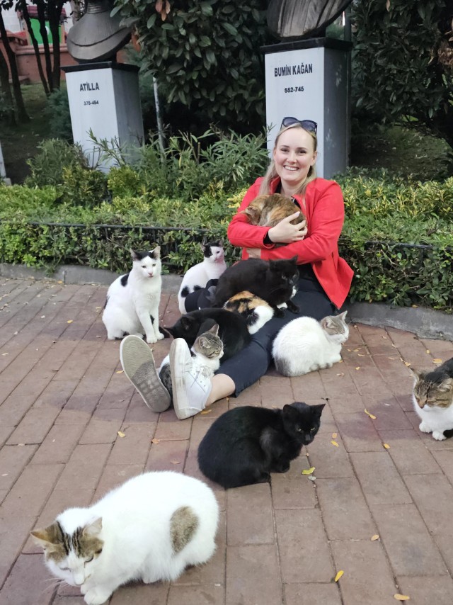 "Хотим на ручки!" (котовторник)