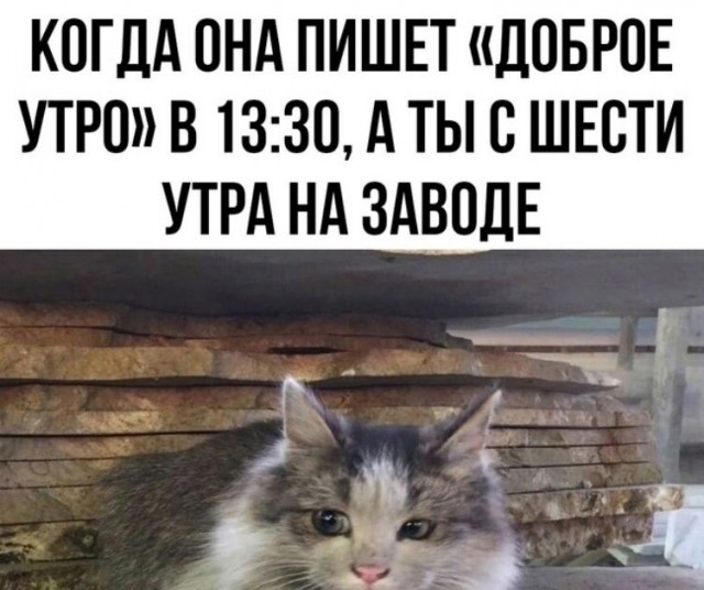 Субботние картинки