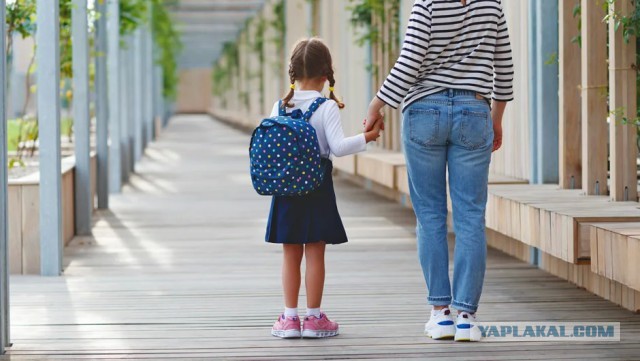 Водите ли вы ребенка в школу?