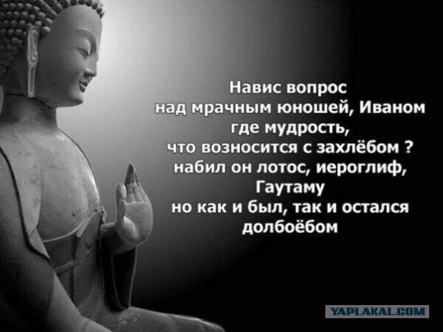 Лучше нет влагалища, чем плечо товарища