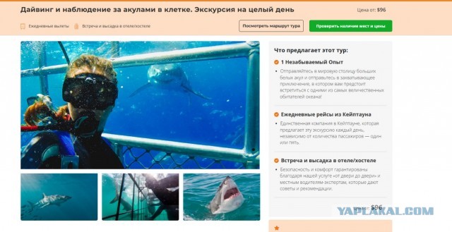Подарок на днюху богатому человеку?