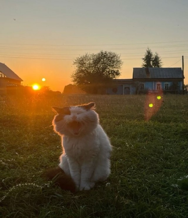 В деревню.