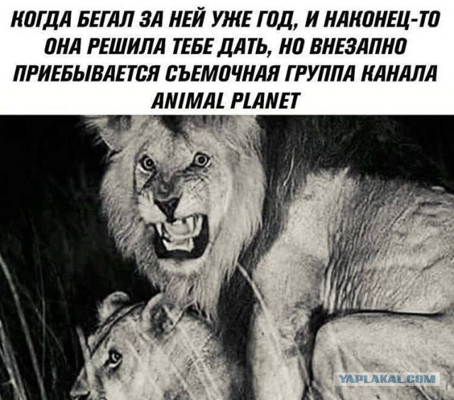 Кажется, их застали в самый неловкий момент в жизни