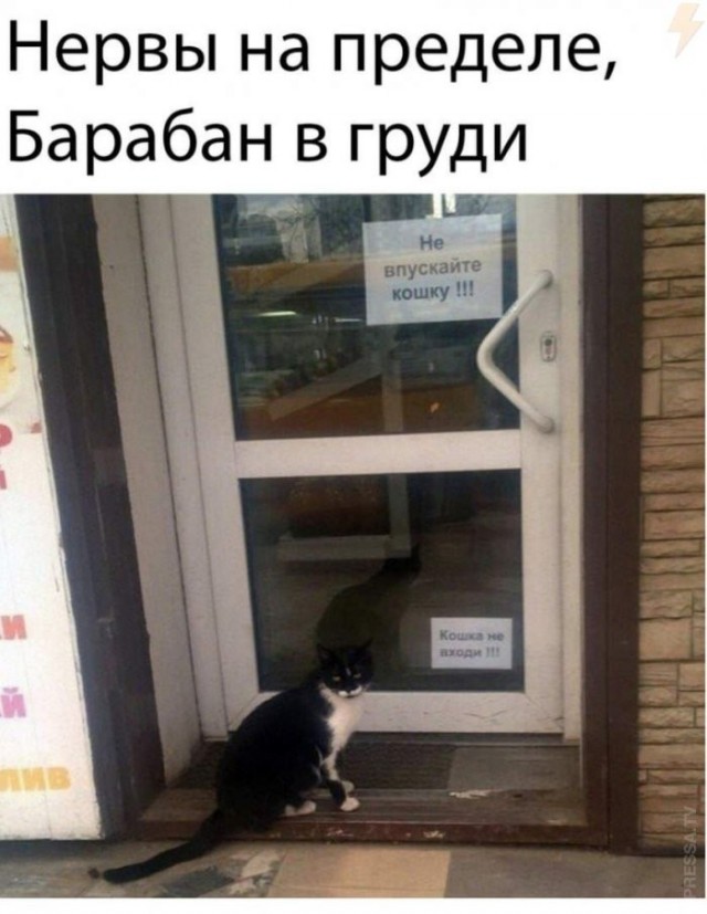 Веселые картинки в маленькую пятницу (06.05)