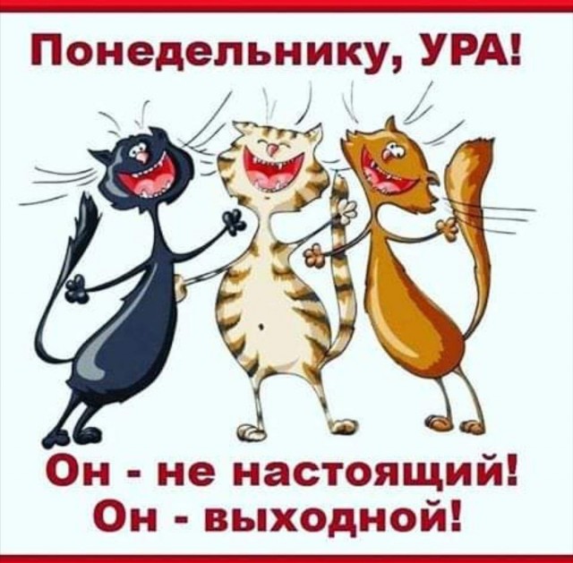 С понедельником ЯП!
