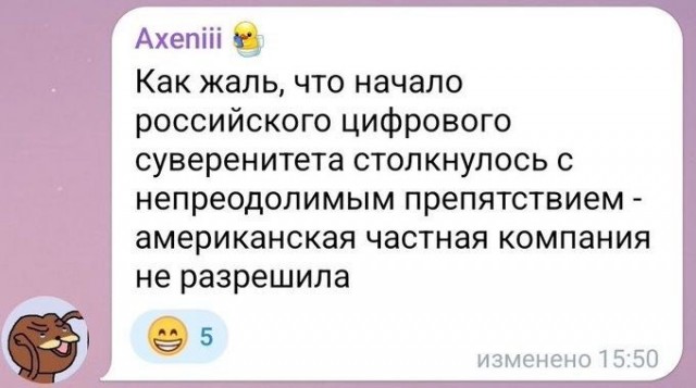 Полный «цифровой суверенитет» наступит в РФ уже очень скоро — заявили в Госдуме
