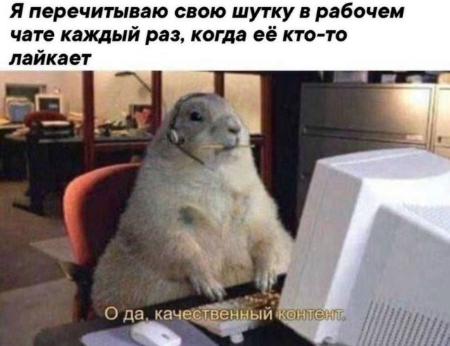 Веселые картинки в пятницу (18.09)